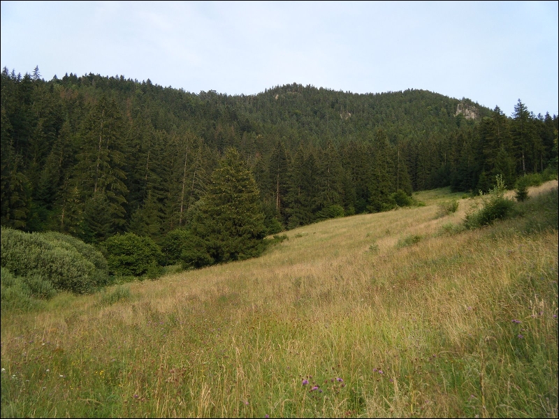 urbar_007.jpg