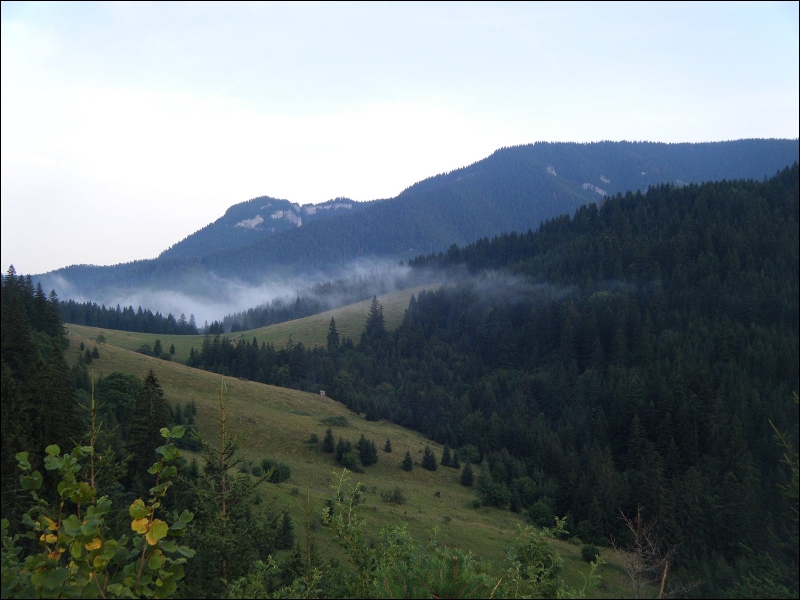 urbar_009.jpg