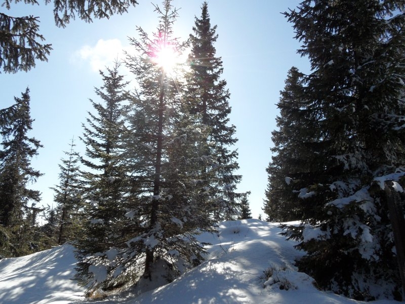 urbar_041m.jpg