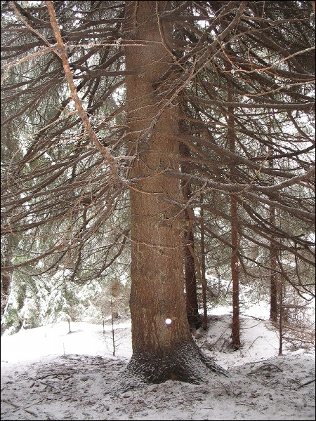 urbar_047m.jpg