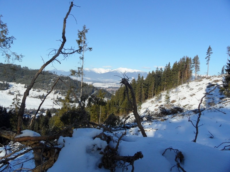 urbar_052m.jpg