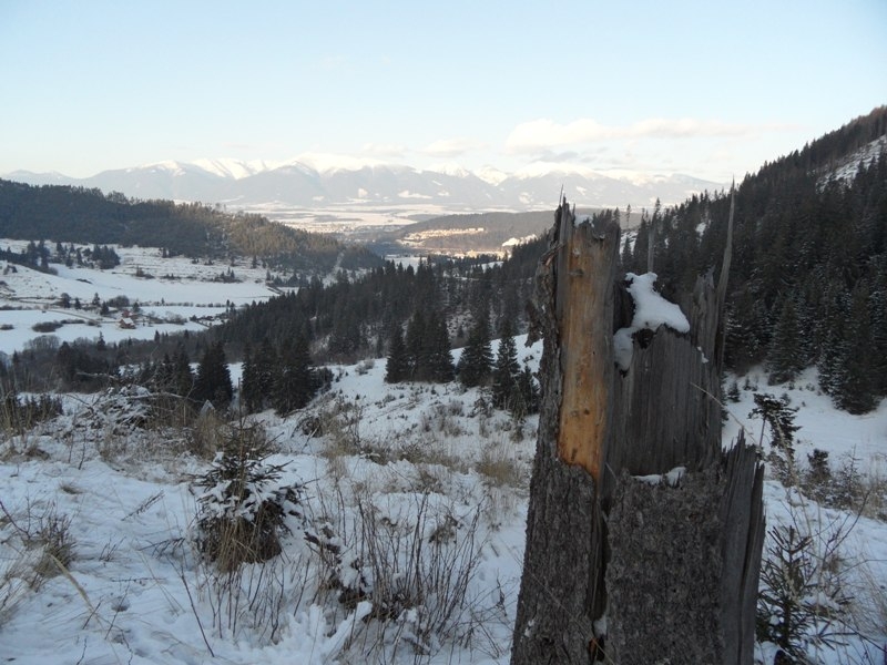 urbar_060m.jpg