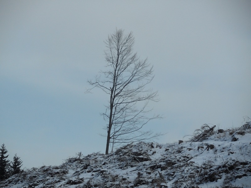 urbar_065m.jpg