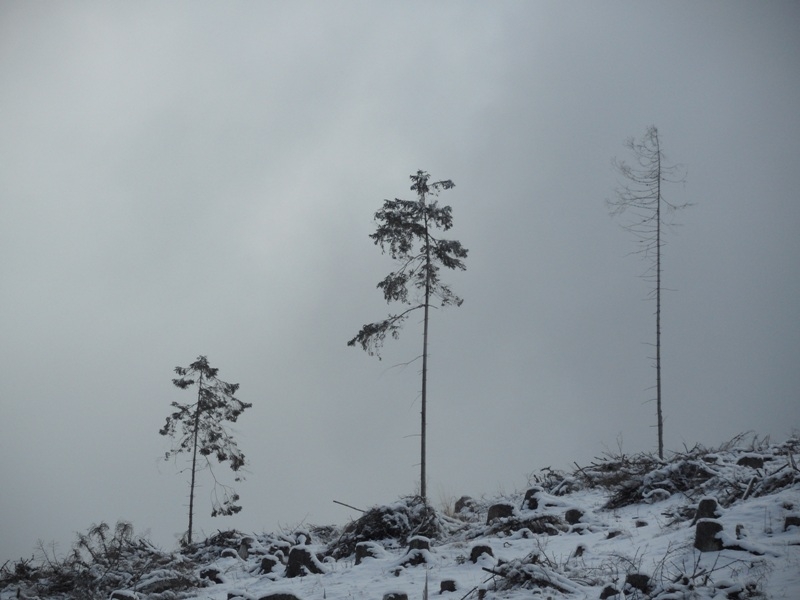 urbar_066m.jpg