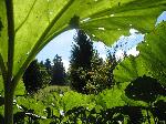 urbar_005
