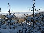 urbar_034m.jpg
