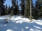 urbar_039m.jpg
