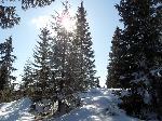 urbar_041m.jpg