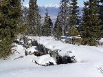 urbar_042m.jpg
