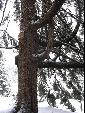 urbar_049m.jpg