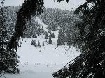 urbar_050m.jpg