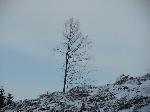 urbar_065m.jpg