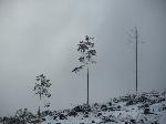 urbar_066m.jpg