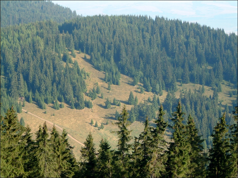 F:\Tvroba_www\Urbar_LP\Obrazky\Urbar_2003\DSCF0771