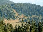 F:\Tvroba_www\Urbar_LP\Obrazky\Urbar_2003\DSCF0771