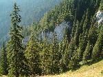 F:\Tvroba_www\Urbar_LP\Obrazky\Urbar_2003\DSCF0775