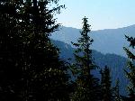 F:\Tvroba_www\Urbar_LP\Obrazky\Urbar_2003\urbar_20